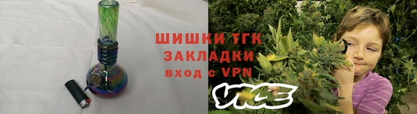 прущие грибы Абдулино