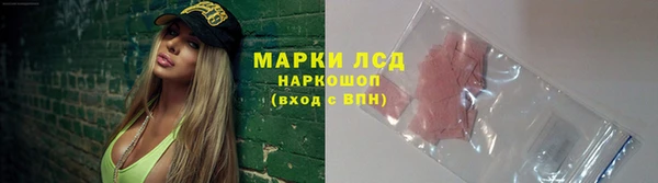 прущие грибы Абдулино