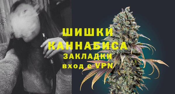 прущие грибы Абдулино