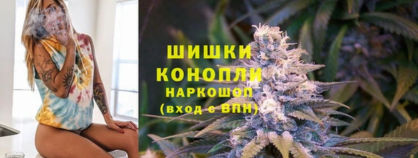 прущие грибы Абдулино
