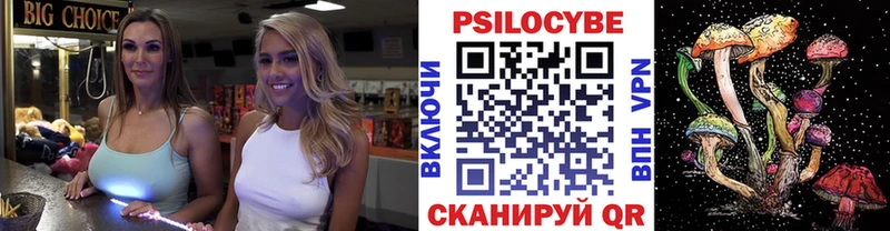 где купить наркоту  Ангарск  Галлюциногенные грибы Psilocybe 
