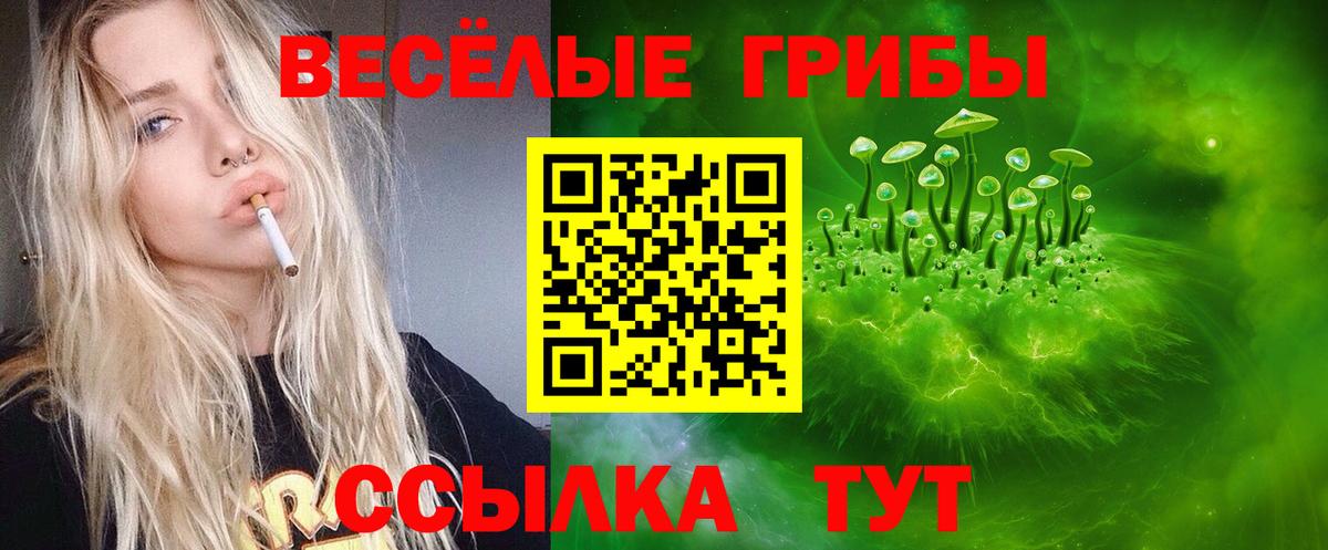 Ангарск  Галлюциногенные грибы Cubensis  Вход с VPN  Галлюциногенные грибы MAGIC MUSHROOMS 